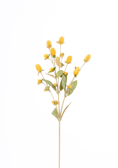 Globosa Tek Dal 69cm