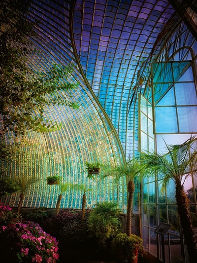 Green Houses Kitap