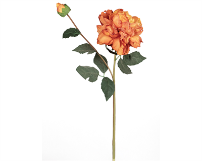 Gül 67 Cm