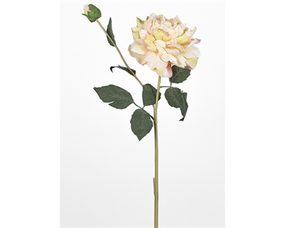 Gül 67 Cm
