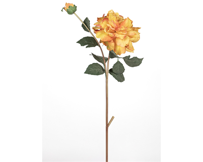 Gül 67 Cm
