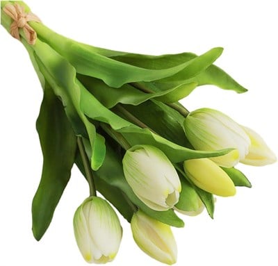 Lale Demet 30 Cm(white)