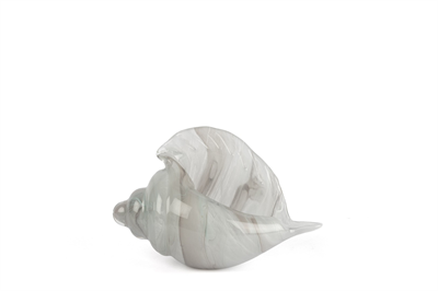 Mikasa Alba Glass Dek Deniz Kabuğu 10x22x14cm