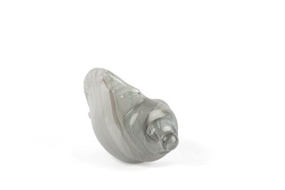 Mikasa Alba Glass Dek Deniz Kabuğu 12x25x16cm