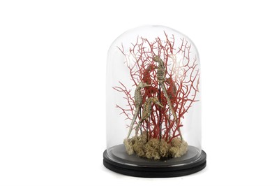 Mikasa Coral Oranj Gold Dekoratif Cam Fanus 22x30cm