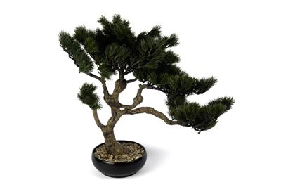 Mikasa Cypress Bonsai Yapay Ağaç 53Cm