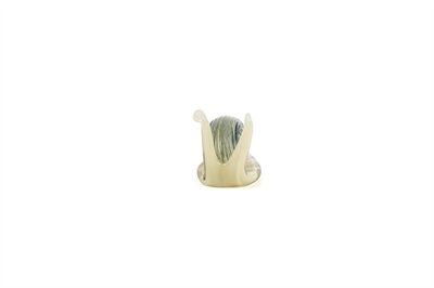 Mikasa Krem Turkuaz Cam Dek Salyangoz 12x10cm