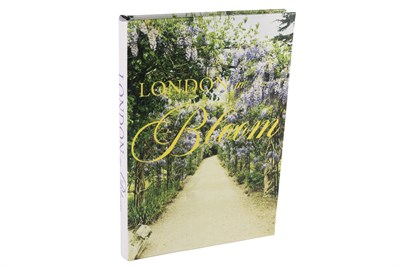 Mikasa London Bloom Kitap Kutu 35x24x3cm