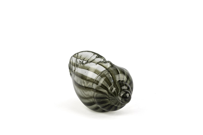 Mikasa Yeşil Çizgili Dek Deniz Kabuğu 12x25x16cm