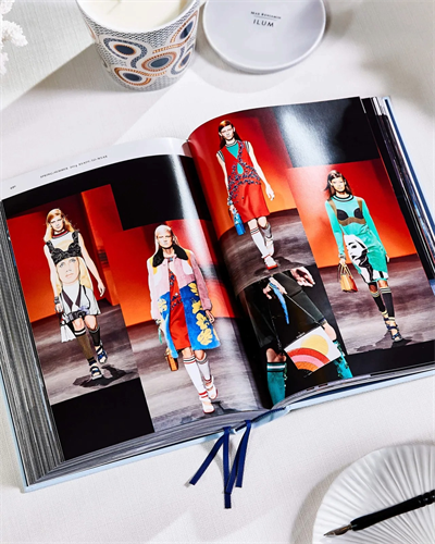 Prada Cat Wolk Kitap