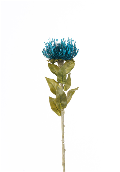 Protea Tek Dal 73cm
