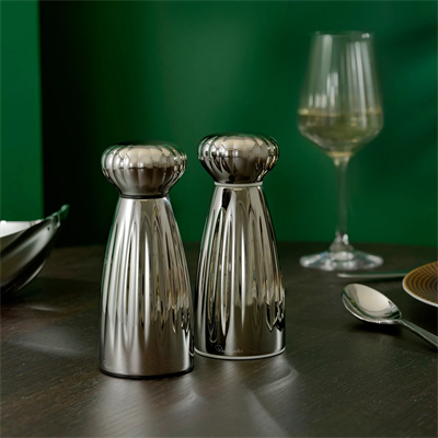 Robert Welch Parlak Tuzluk Biberlik Set