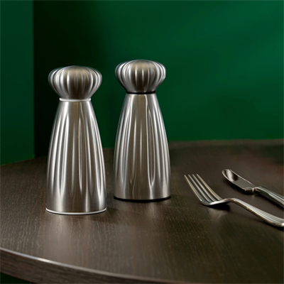 Robert Welch Parlak Tuzluk Biberlik Set