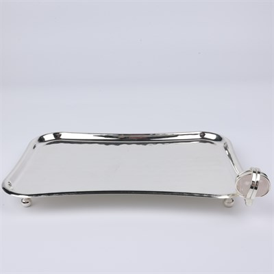 Select Dt Tray 21X14 Cm 6 Renk