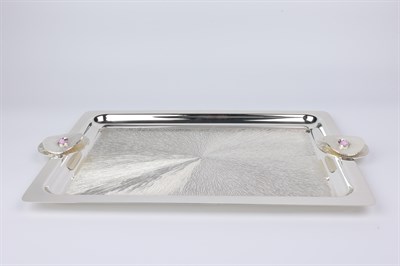 Select Ptn Rect.Tray 28X40 Cm