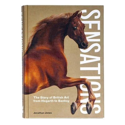 Sensatıon Kitap