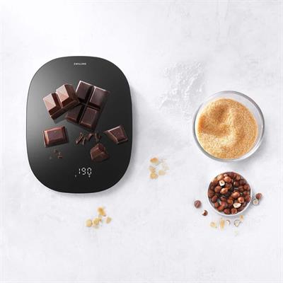 Zwıllıng 530110530 Dijital Tartı