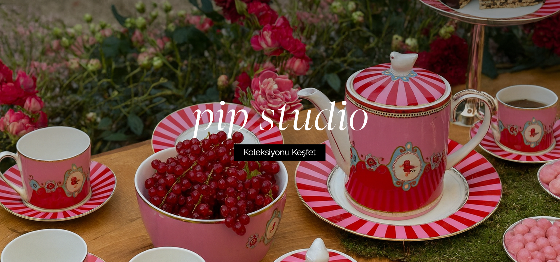 pip-studio