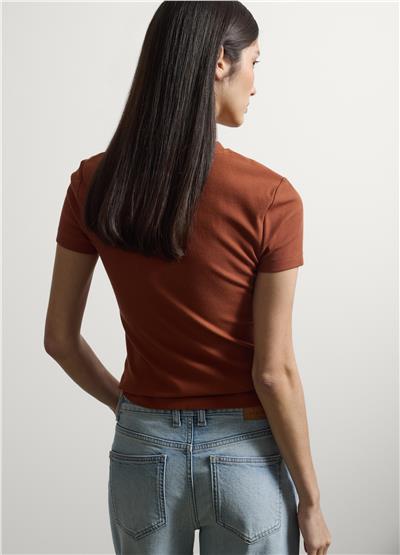 Açık Kahverengi Esnek Pamuklu Regular Fit Kısa Kollu Tişört