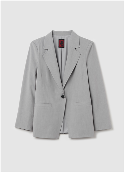Tek Düğmeli Gri Blazer