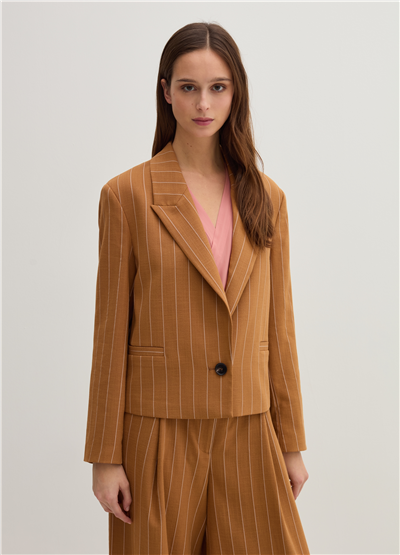 Tek Sıra Düğmeli Kısa Kesim İnce Çizgili Kahverengi Blazer