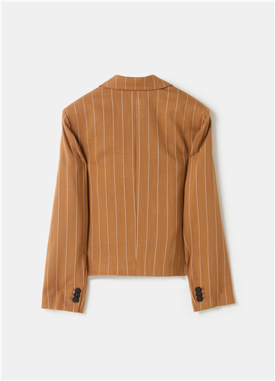 Tek Sıra Düğmeli Kısa Kesim İnce Çizgili Kahverengi Blazer