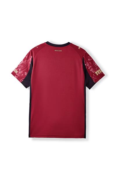 Puma Galatasaray 25/26 Erkek Alternatif Forma