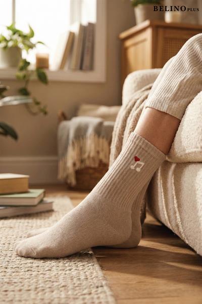 Moda Renklerle Kombin Yapılmış 5 Li Paket Penye Çorap