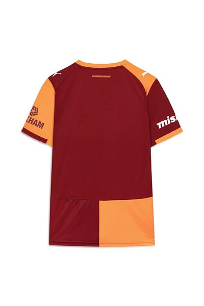 Puma Galatasaray 25/26 Erkek İç Saha Forması