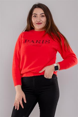 859 Bisiklet Yaka Özel Yazı Baskılı Sakallı Kazak