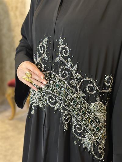 GÖKKUŞAĞI ABAYA