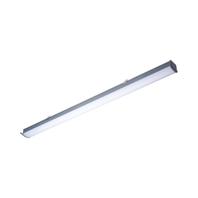 Philips WT066C LED36 6500K IP65 L1200 LED Etanj