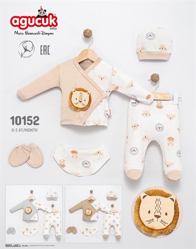 ASLAN AKSESUARLI 5'Lİ ZIBIN TAKIMI