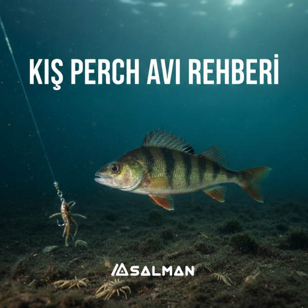 Kış Aylarında Türkiye'de Perch Avı