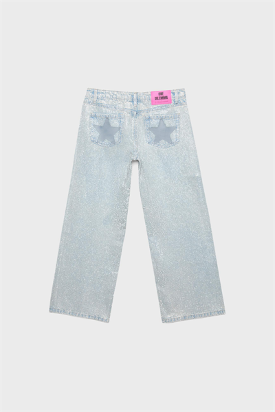 Viral Star Shine Wide Leg Jean