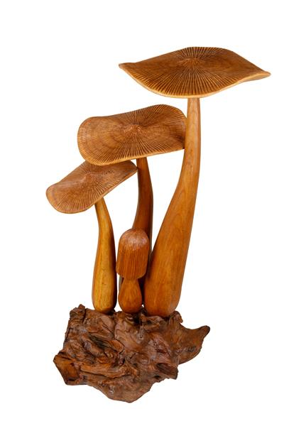 Tek Parça Dekoratif Mantar El Yapımı Ahşap Obje 40 cm x 65 cm