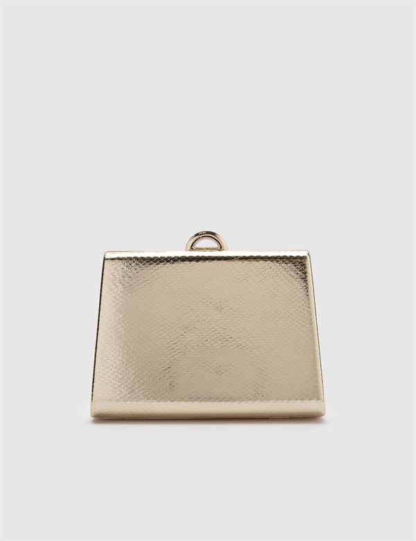 Kenna Gold Women's Clutch with Snake Print