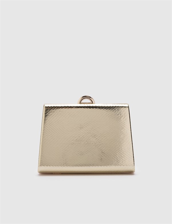 Kenna Gold Women's Clutch with Snake Print