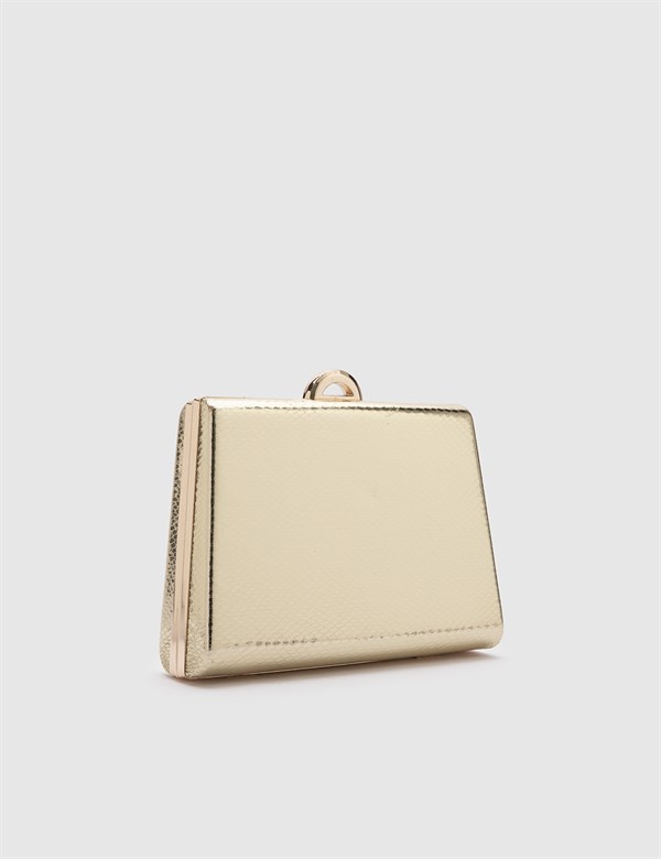 Kenna Gold Women's Clutch with Snake Print