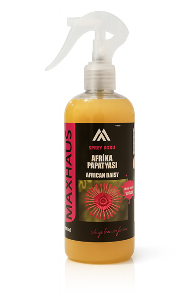 Araba Kokusu Afri̇ka Papatyasi