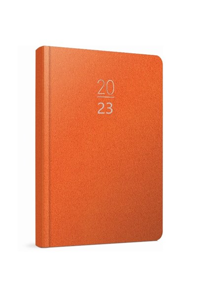 2020 100-ECK 14x20 Eski Günlük Ajanda