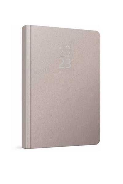 2020 100-ECK 14x20 Eski Günlük Ajanda