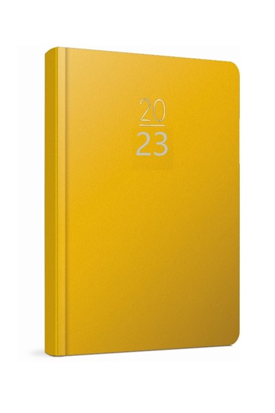 2020 100-ECK 14x20 Eski Günlük Ajanda