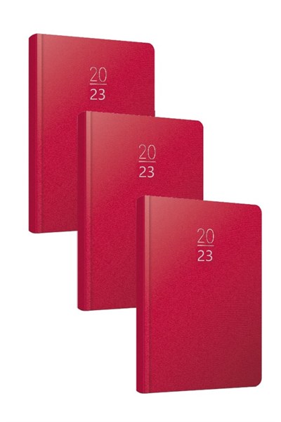 2020 100-ECK 14x20 Eski Günlük Ajanda