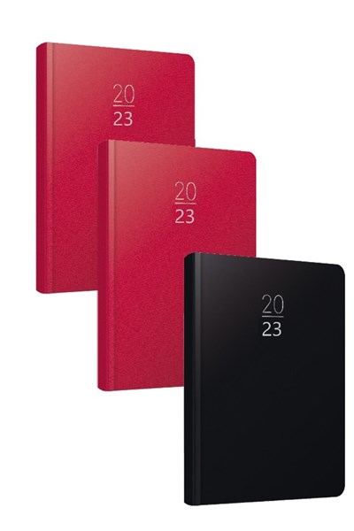 2020 100-ECK 14x20 Eski Günlük Ajanda