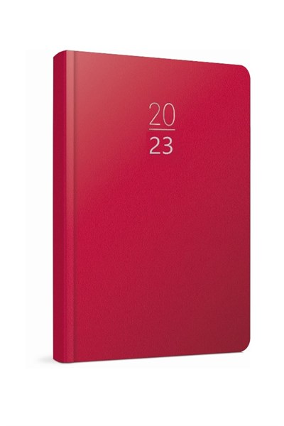 2020 100-ECK 14x20 Eski Günlük Ajanda