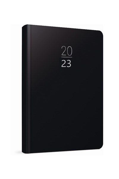 2020 100-ECK 14x20 Eski Günlük Ajanda