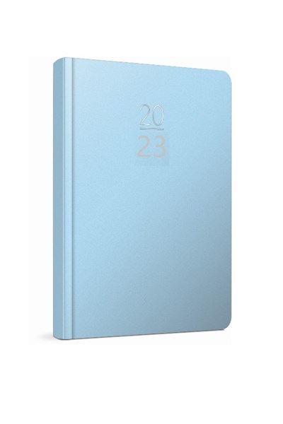 2023 119-ECK 20x28 Günlük Eski Ajanda