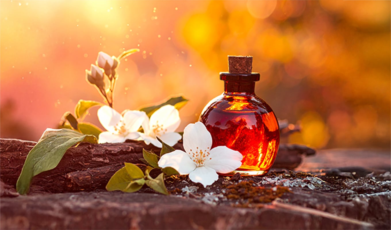 Aromatic koku görseli