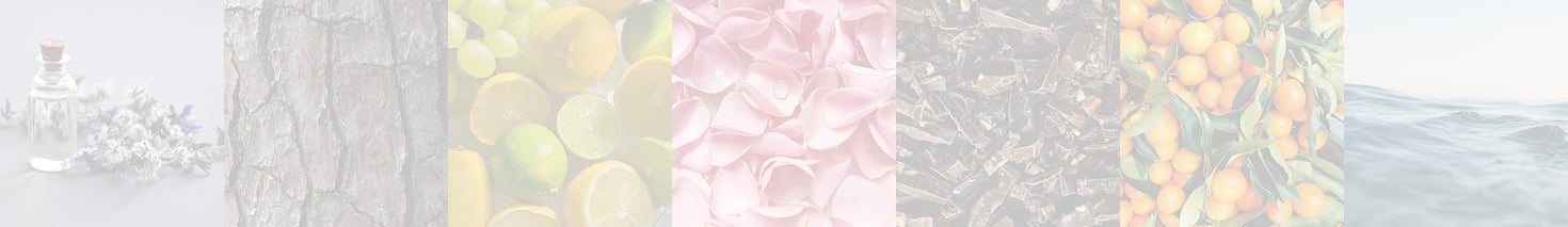 Koku Aileleri Görseli